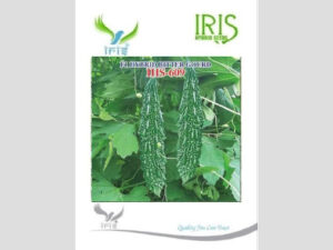 Iris F1 Hybrid Bitter Gourd IHS-609