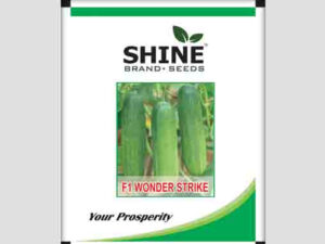 Wonder Strike F1 Hybrid Cucumber Seeds