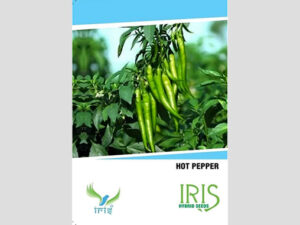 Iris F1 Hybrid Hot Pepper Seeds