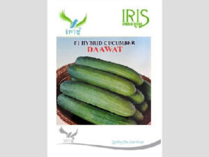 Iris Dawat F1 Hybrid Cucumber Seeds