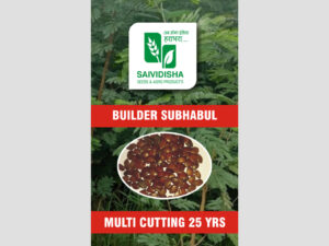 Builder Subhabul seed