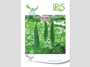 Iris F1 Hybrid Bitter Gourd IHS-135 Seeds