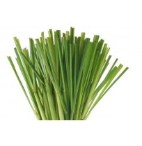 Lemon Grass Leaves