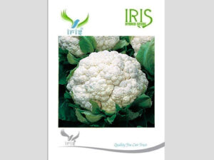 Iris F1 Hybrid Cauliflower Seeds