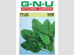All Green Palak (Spinach) Seeds