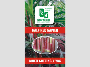 Bangla Half Red Super Napier stick