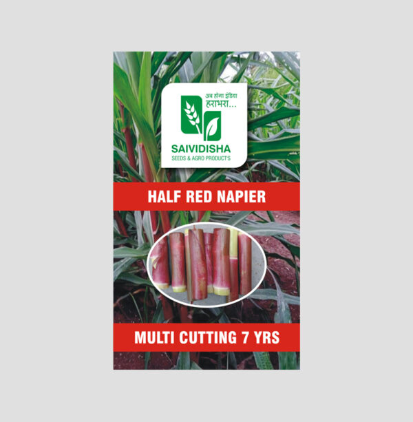 Bangla Half Red Super Napier stick