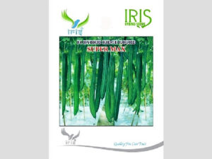 Iris Hybrid Vegetable Seeds F1 Hybrid Ridge Gourd Super Max