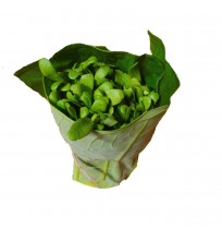 Baby Methi (100gms)