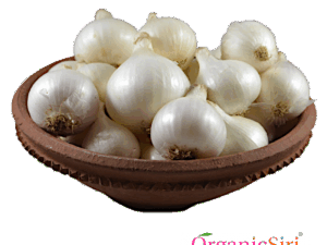 Onion White