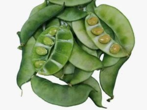 Beans Avare