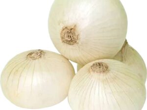 Urban Harvest Onion White
