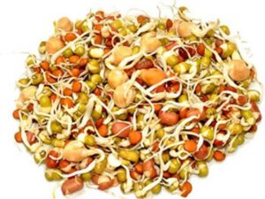 Urban Harvest Mixed Sprouts Peeled