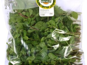 Urban Harvest Premium Fresh Mint Leaves - Without Roots