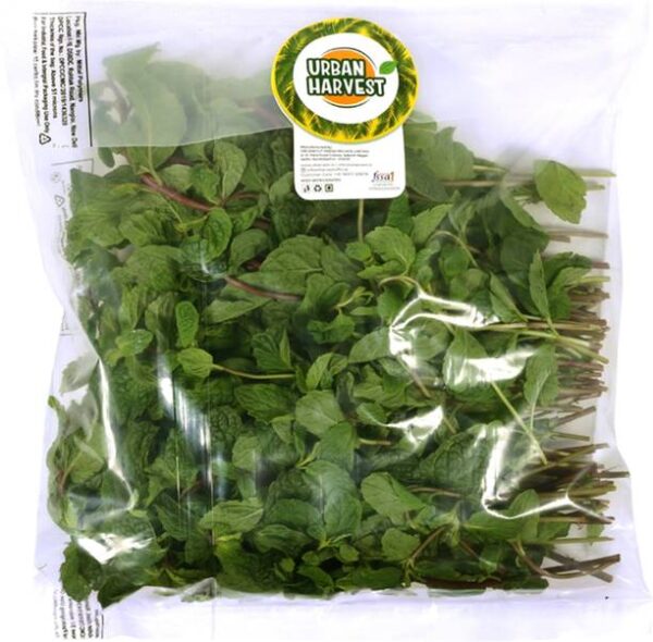 Urban Harvest Premium Fresh Mint Leaves - Without Roots