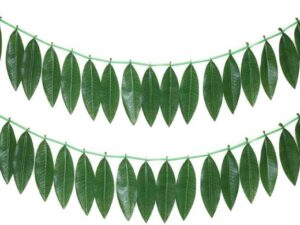 Urban Harvest Fresh Mango Leaves String / Toran