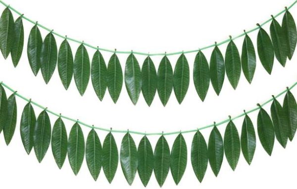Urban Harvest Fresh Mango Leaves String / Toran