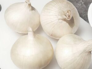 Onion White