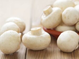 Mushroom Button