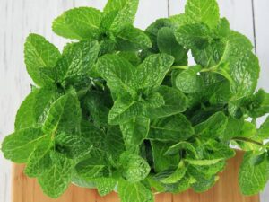 Mint Leaves