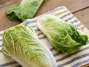 Cabbage Chinese Regular