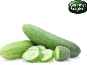 Organic Cucumber Indian