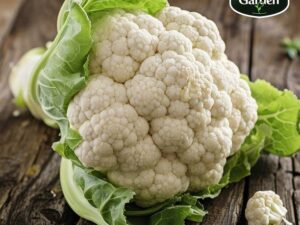 Gourmet Garden Organic Cauliflower