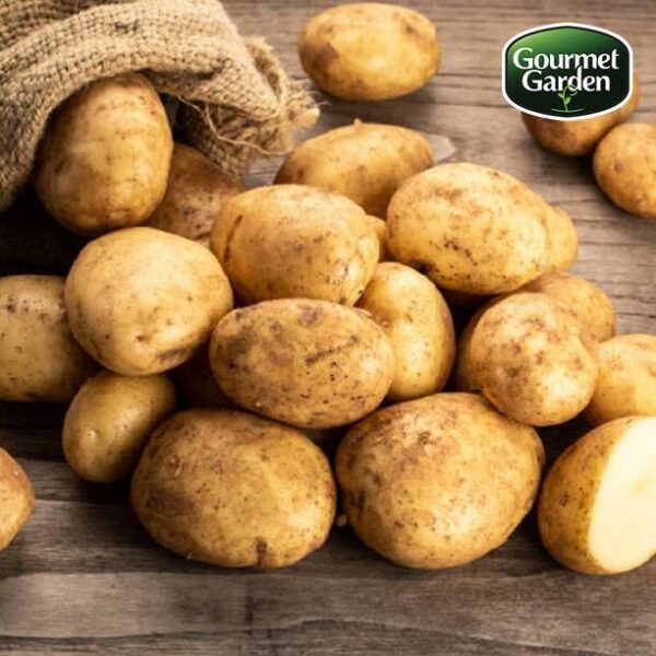 Organic Potato
