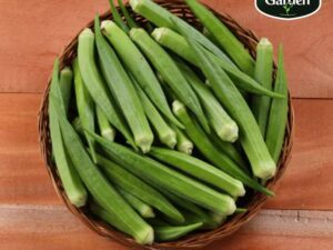 Organic Ladies Finger