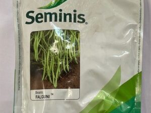 Falguni Beans Seeds