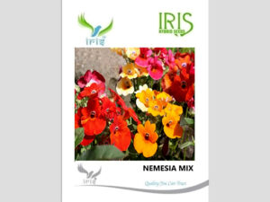 Iris Imported Namesia Mix Seeds