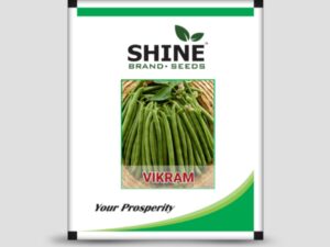 Vikram Bush Beans Seeds