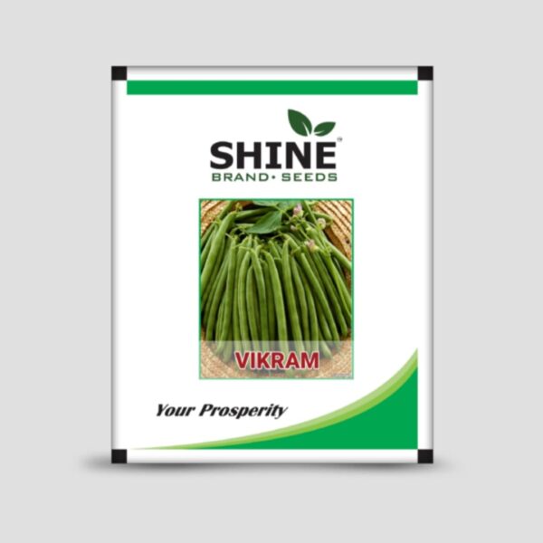 Vikram Bush Beans Seeds