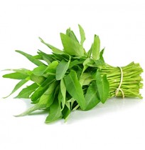 WATER Spinach
