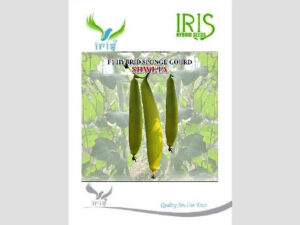 Iris Hybrid Vegetable Seeds F1 Hybrid Sponge Gourd Shweta