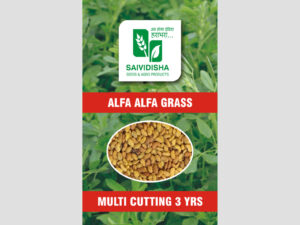 Fenugreek grass/ Alfa Alfa Grass