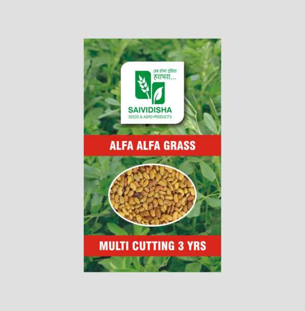 Fenugreek grass/ Alfa Alfa Grass