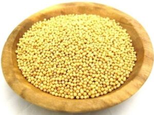 SS520 Yellow Mustard Seed (PILI Sarso)