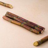 Sugarcane