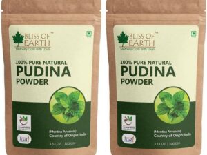 Bliss of Earth 100% Pure & Natural Pudina Powder (Mint ...