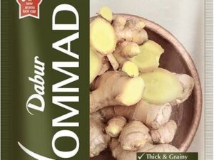 Dabur Hommade Ginger Paste