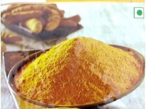Aaditya 501 Turmeric Powder