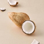 Coconut Small - With Husk