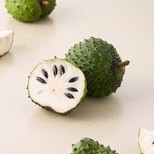 Soursop