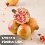Pomegranate - Premium