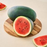 Watermelon -  Medium
